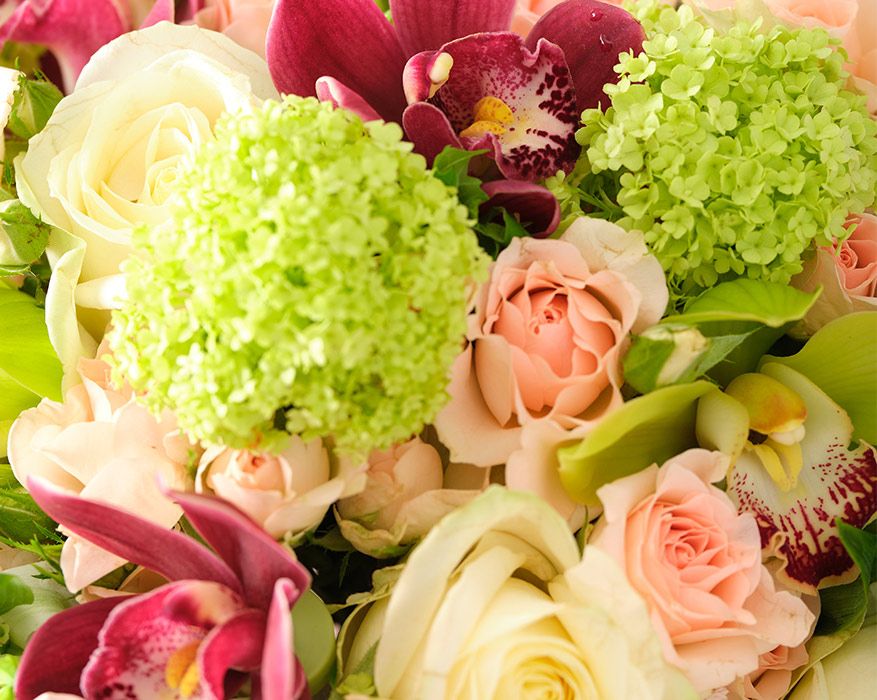 Mayfair Blush Flowers